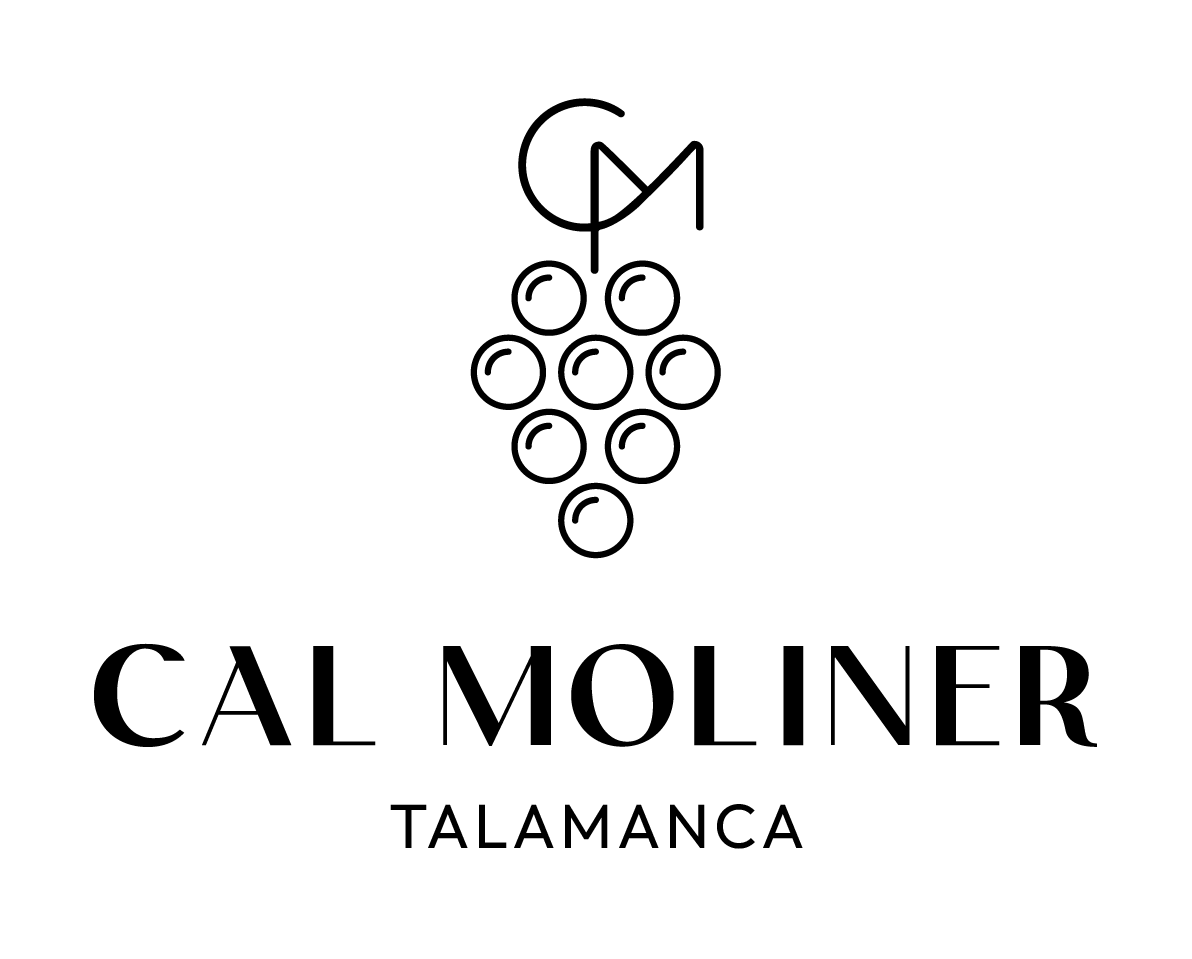 LOGO WEB 2
